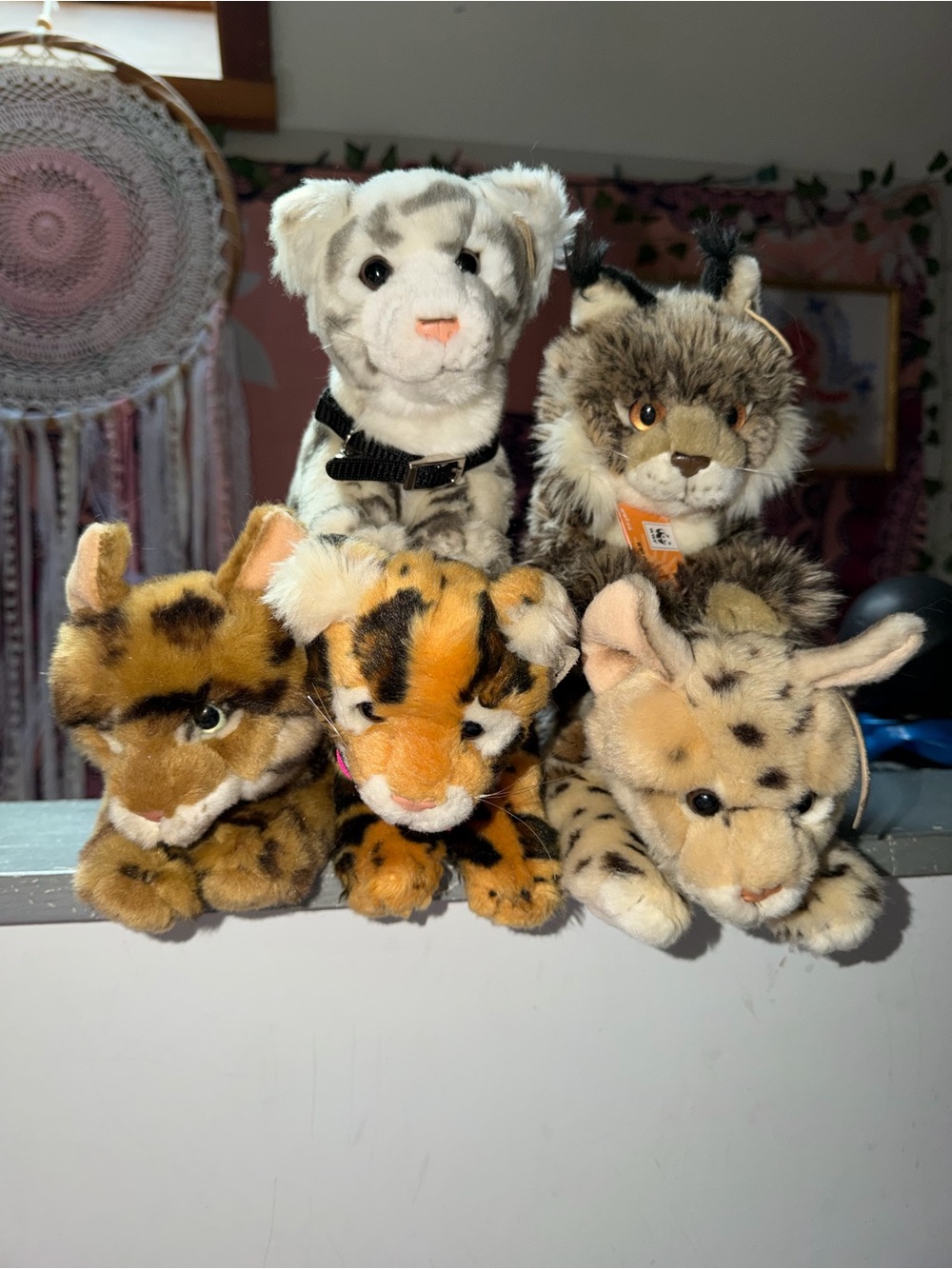 Wwf / Anna club set of 5 plush